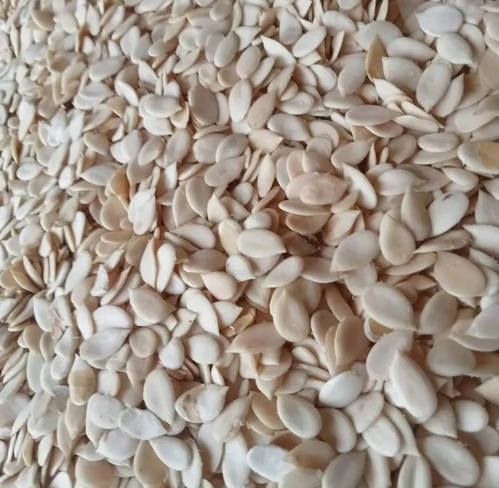 Egusi