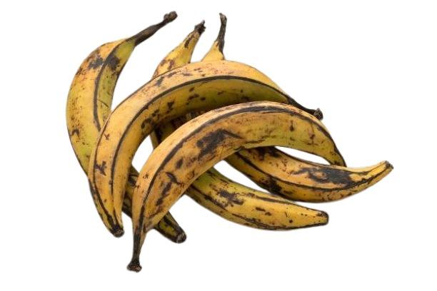 Plantain