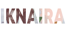 1Knaira Logo